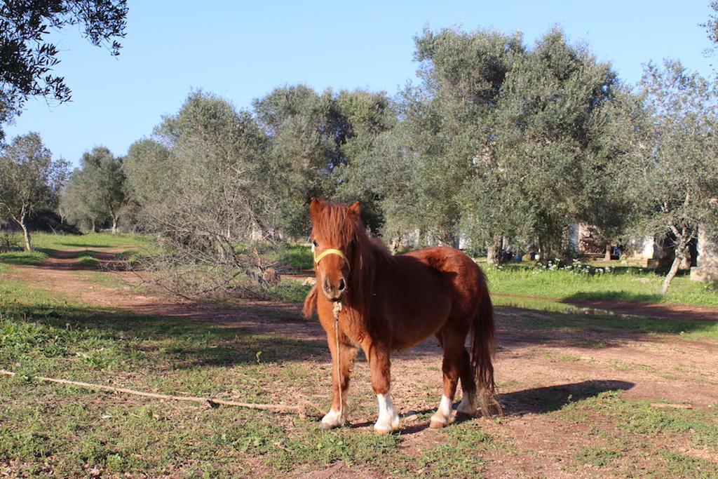 Agriturismo Tenuta Sant'Antonio Cerfignano المظهر الخارجي الصورة